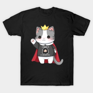 Lord Misu (I belong to Mae) T-Shirt